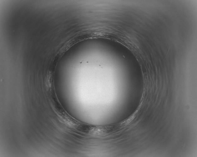 X0000072510174200607290142