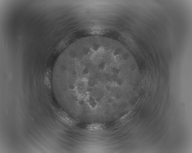 X0000072510175200607290142