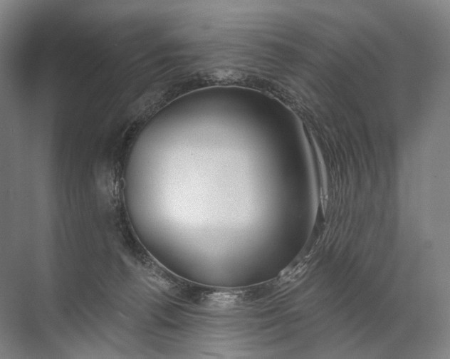 X0000072510176200607290142