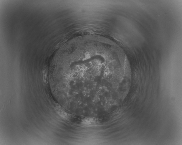 X0000072510177200607290142