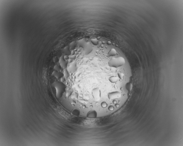 X0000072510178200607290142