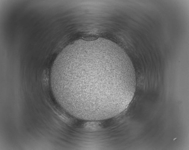 X0000072510179200607290142