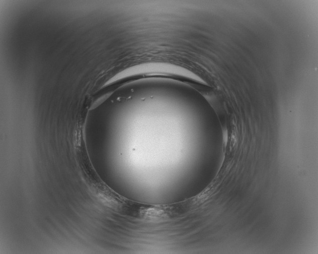 X0000072510180200607290142