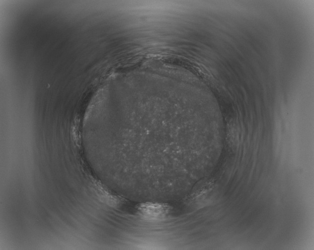 X0000072510181200607290142