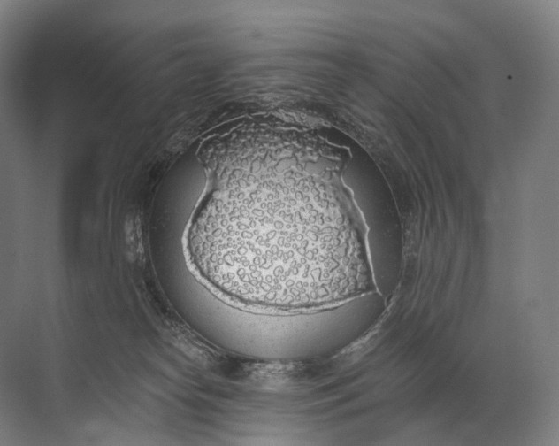 X0000072510182200607290142