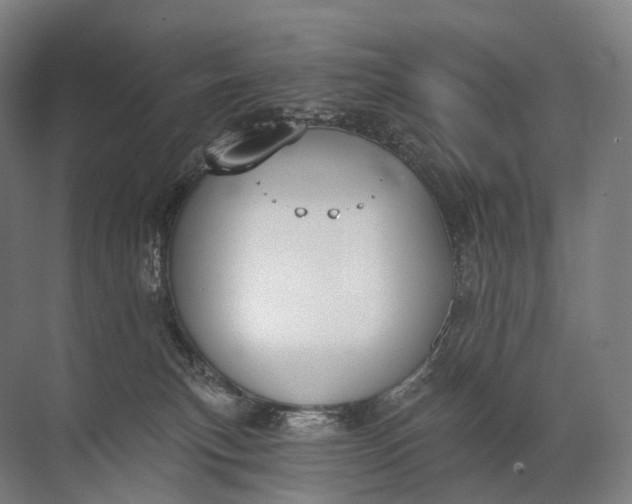 X0000072510183200607290142