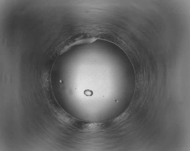 X0000072510184200607290142