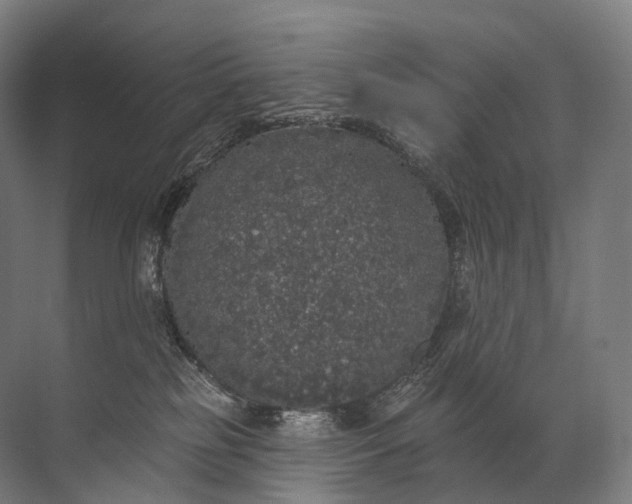 X0000072510185200607290142