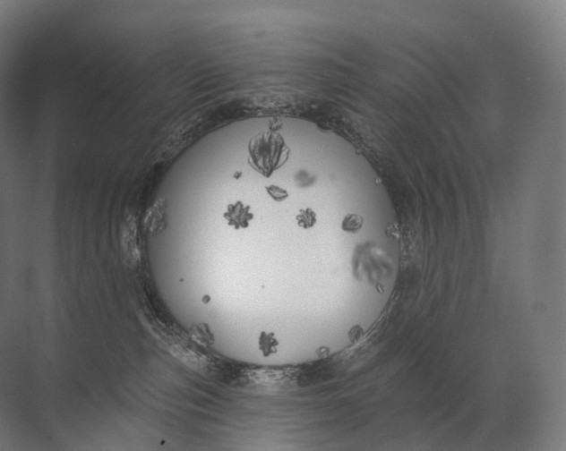 X0000072510187200607290142