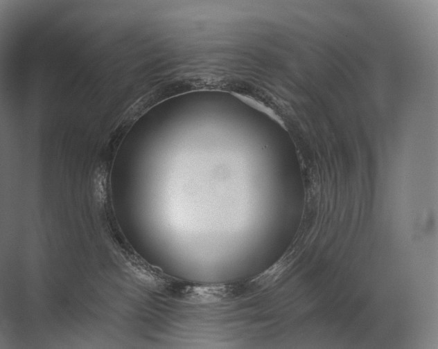 X0000072510188200607290142