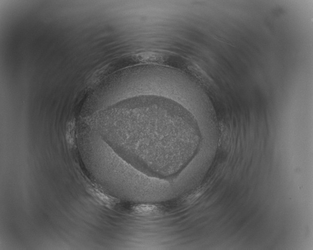 X0000072510189200607290142