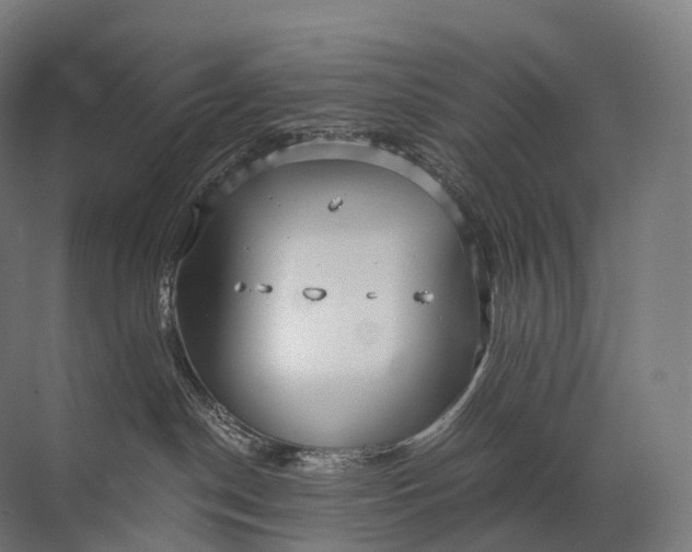 X0000072510190200607290142