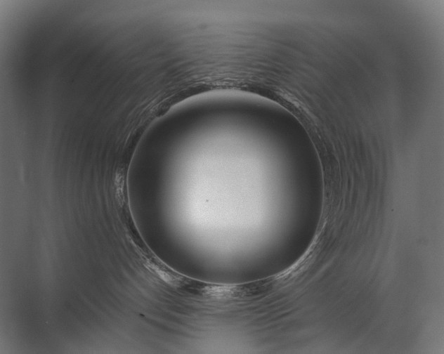 X0000072510192200607290142