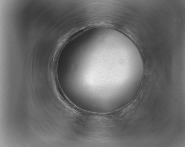 X0000072510193200607290141