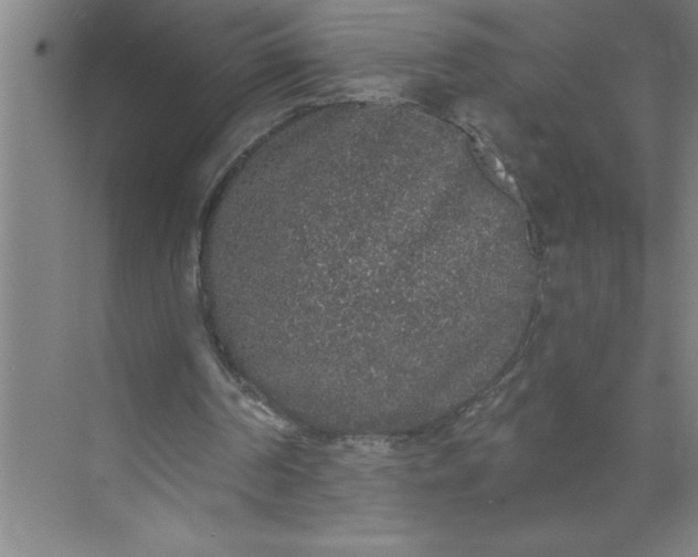 X0000072510194200607290141