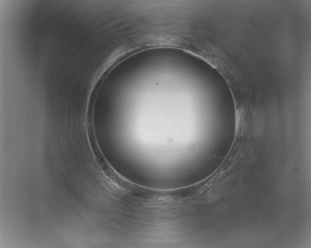 X0000072510195200607290141