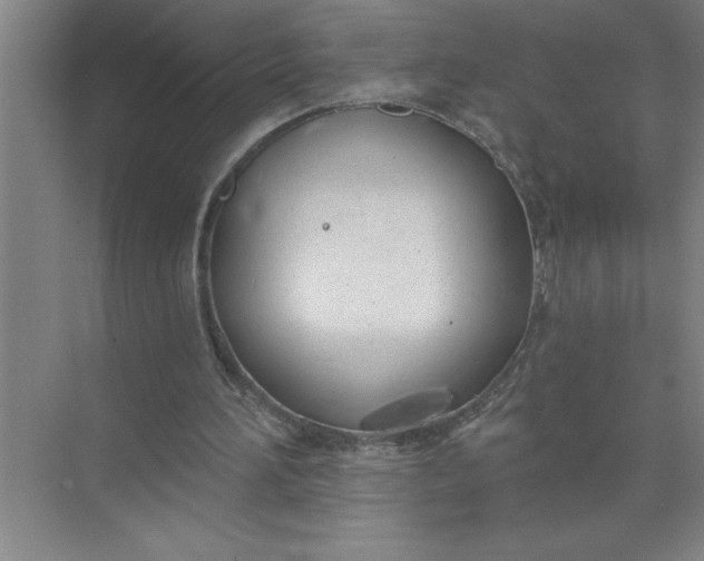 X0000072510196200607290141