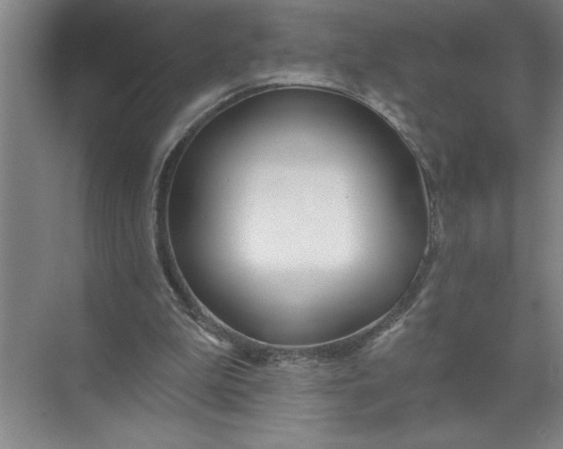 X0000072510199200607290141