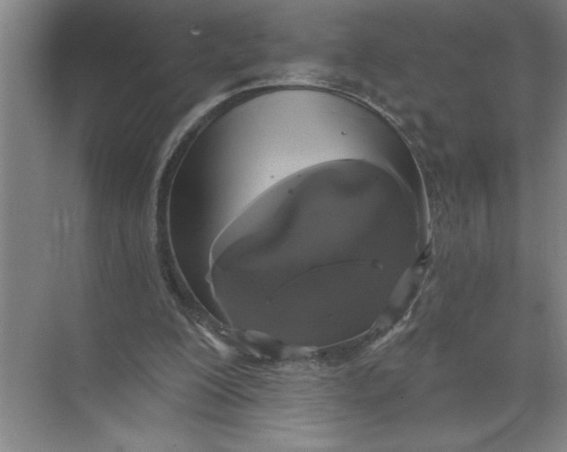 X0000072510200200607290141