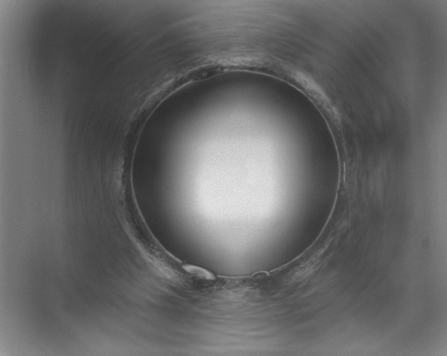 X0000072510201200607290141