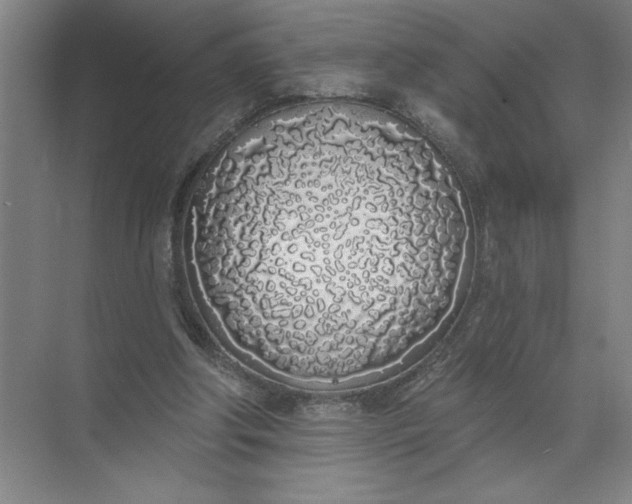 X0000072510202200607290141