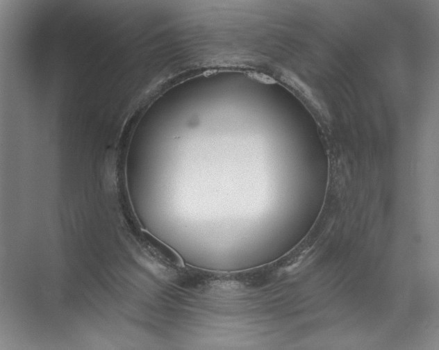 X0000072510203200607290141