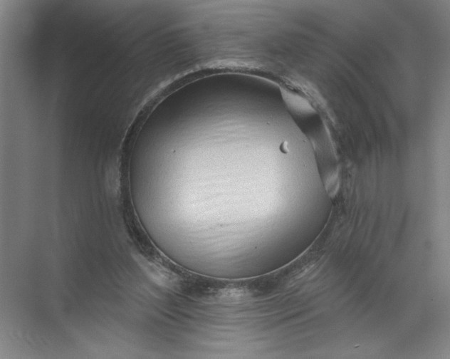 X0000072510204200607290141