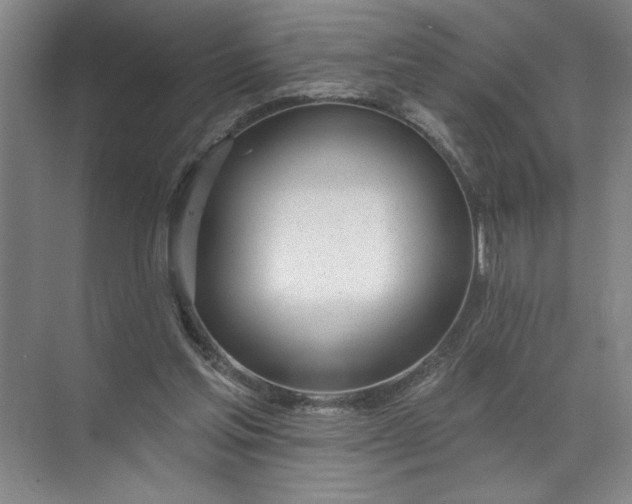 X0000072510205200607290141