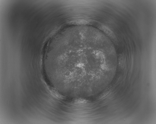 X0000072510206200607290141