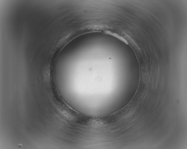 X0000072510207200607290141