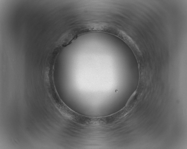 X0000072510209200607290141