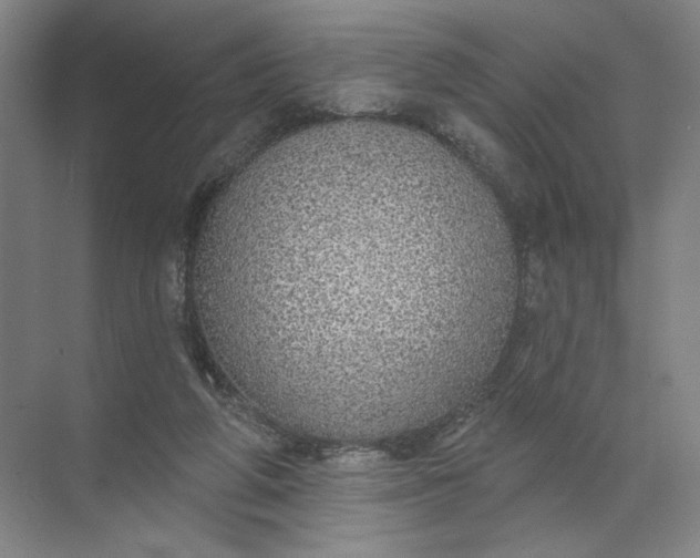 X0000072510210200607290141