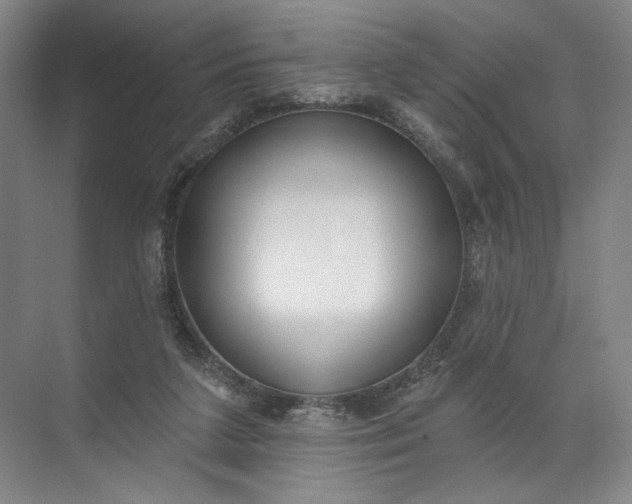 X0000072510211200607290141