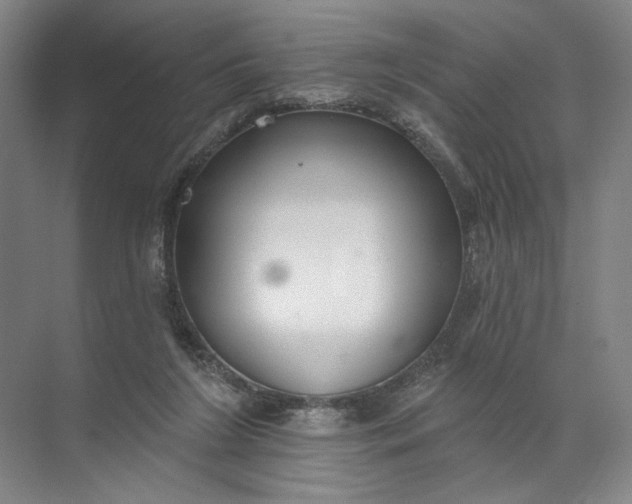 X0000072510212200607290141