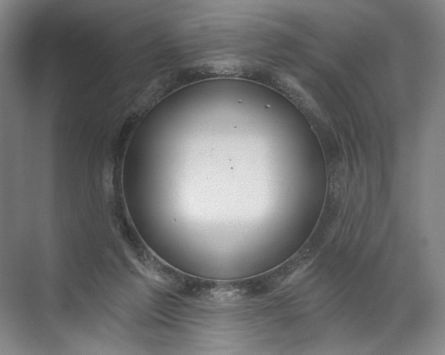 X0000072510213200607290141