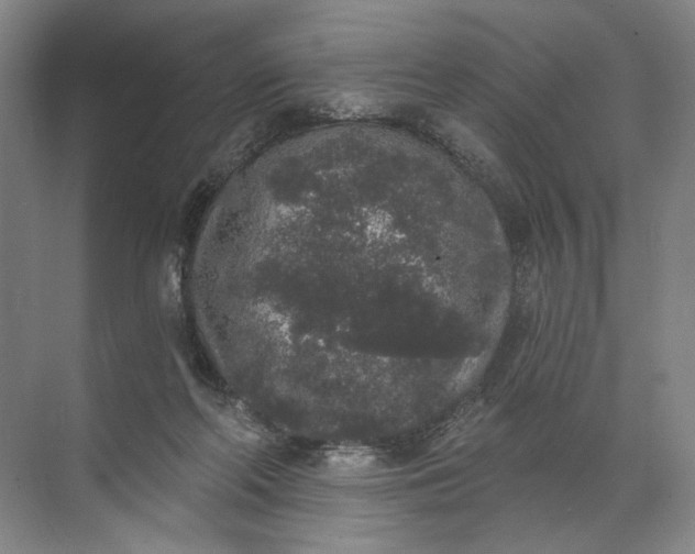 X0000072510214200607290141