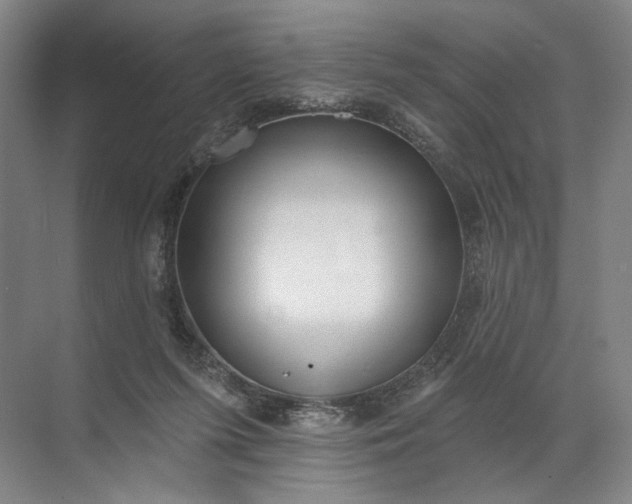 X0000072510215200607290141