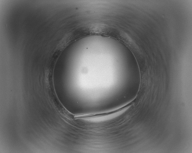 X0000072510217200607290141