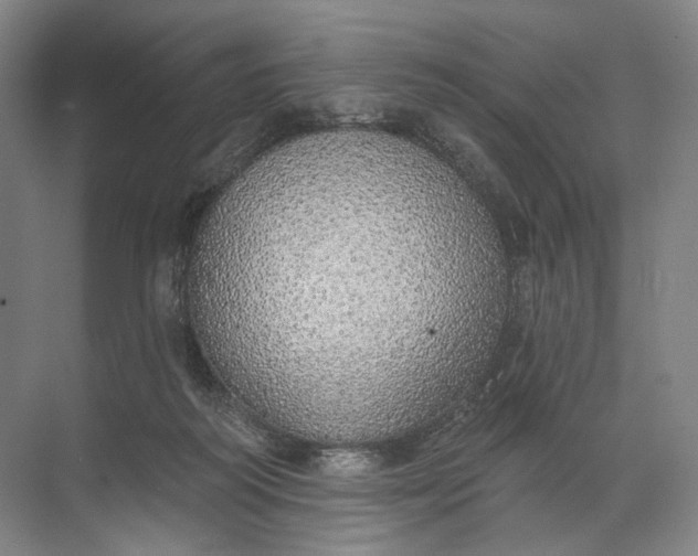 X0000072510218200607290141