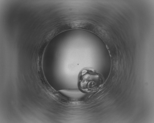 X0000072510219200607290141