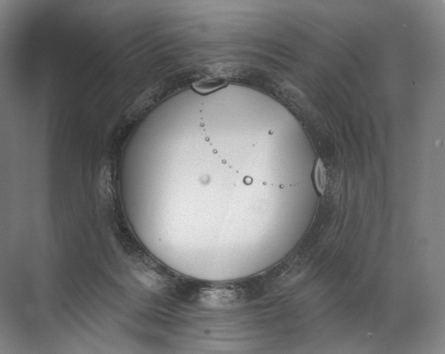 X0000072510220200607290141