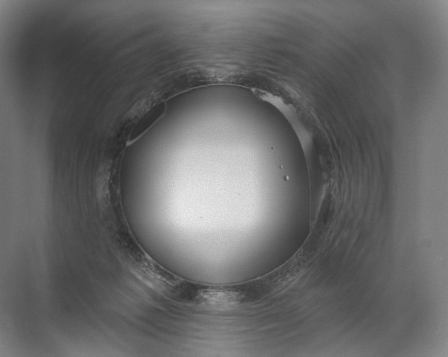 X0000072510221200607290141