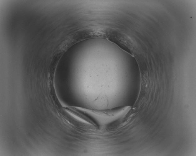 X0000072510223200607290141