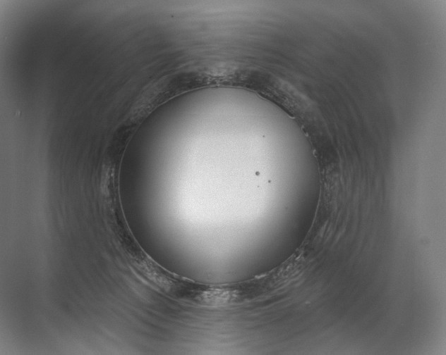 X0000072510225200607290141