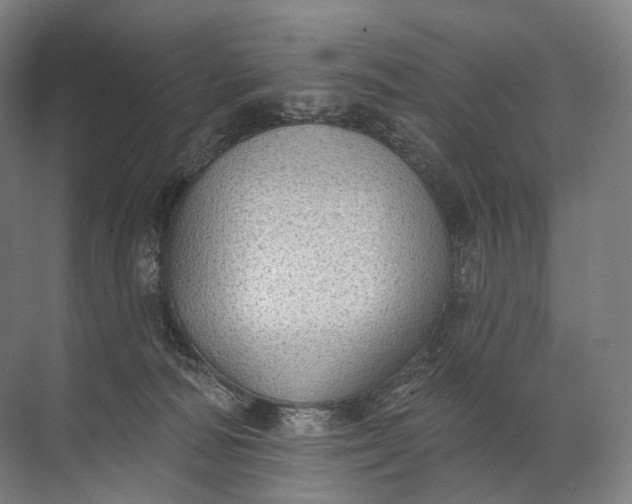 X0000072510226200607290141