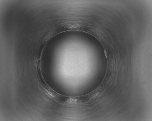 X0000072510227200607290140