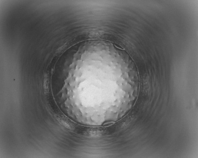 X0000072510228200607290140