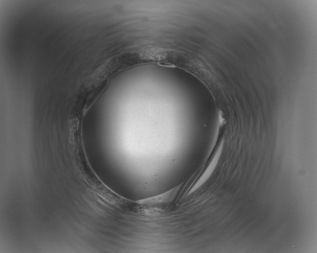 X0000072510229200607290140