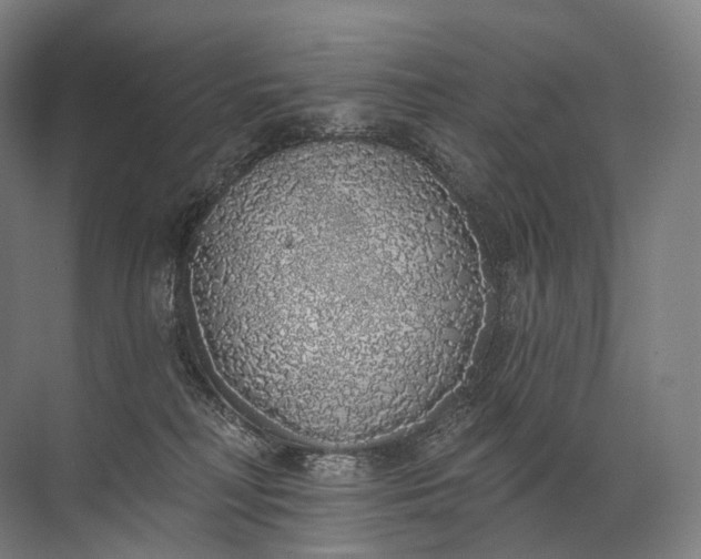 X0000072510230200607290140