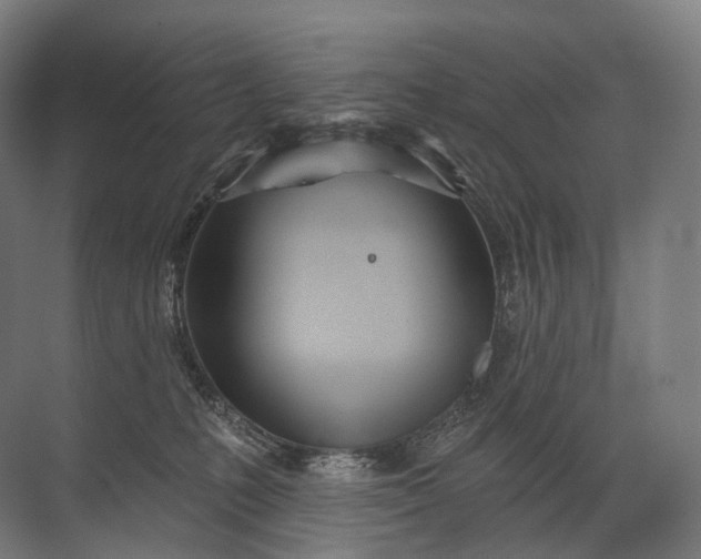 X0000072510231200607290140